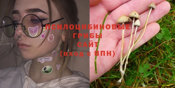 стаф Балахна