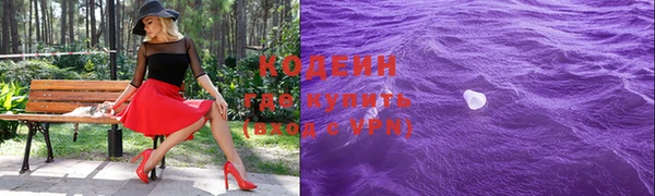 стаф Балахна