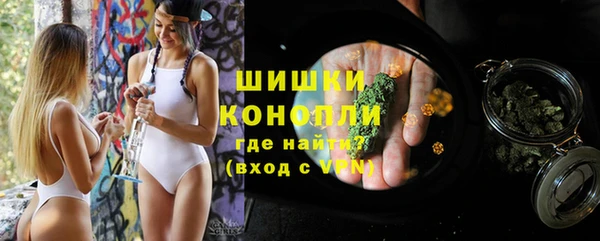 стаф Балахна